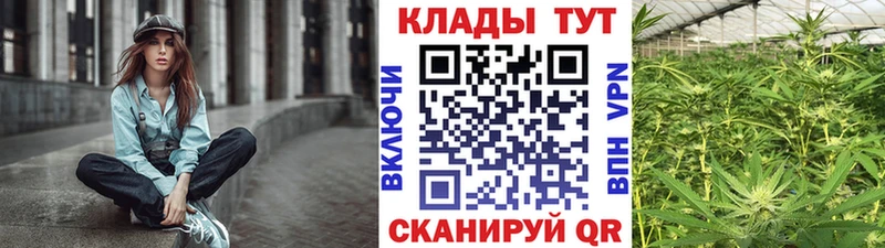 Купить Тотьма Псилоцибиновые грибы АМФ