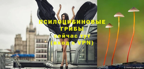 каннабис Абаза