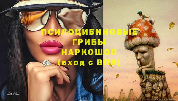 каннабис Абаза