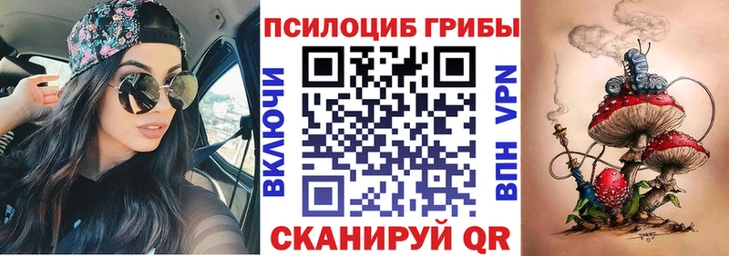 где можно купить   Тотьма  Галлюциногенные грибы MAGIC MUSHROOMS 